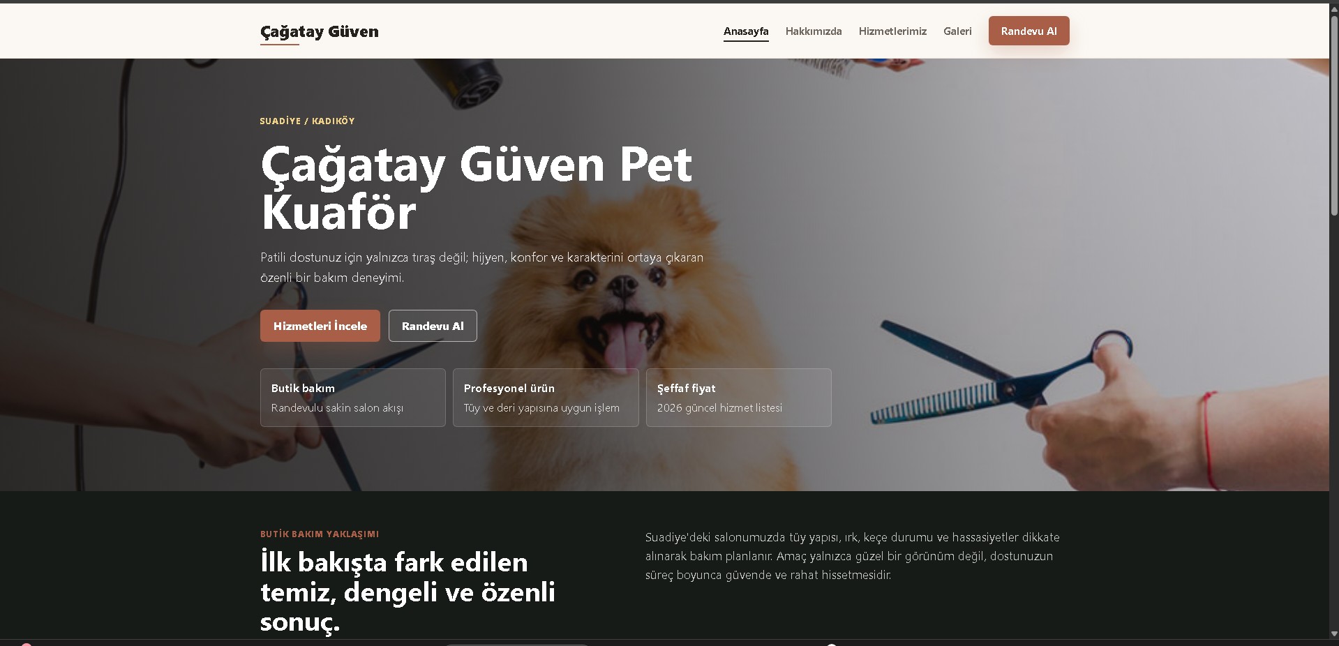 Yerel hizmet web sitesi örneği